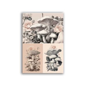 GF-FOOD-026. Rice paper large format