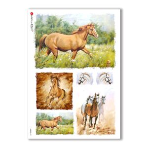 ANIMALS-0071. Animals Rice Paper for decoupage.