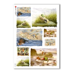 ANIMALS-0079. Animals Rice Paper for decoupage.
