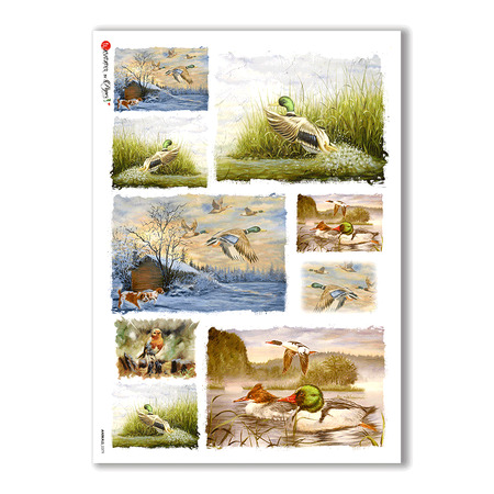 ANIMALS-0079. Animals Rice Paper for decoupage.