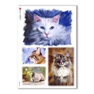 ANIMALS-0080. Animals Rice Paper for decoupage.