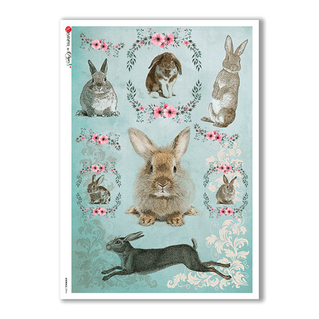 ANIMALS-0096. Animals Rice Paper for decoupage.