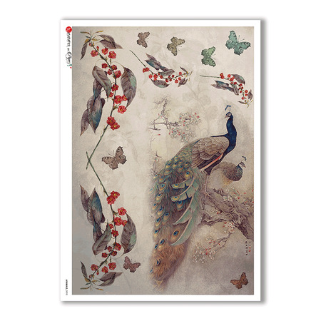 ANIMALS-0098. Animals Rice Paper for decoupage.