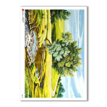 VIEWS-0036. Landscape Rice paper for the decoupage.