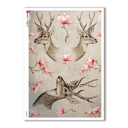 ANIMALS-0099. Animals Rice Paper for decoupage.