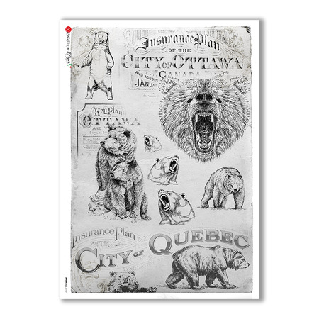 ANIMALS-0107. Animals Rice Paper for decoupage.