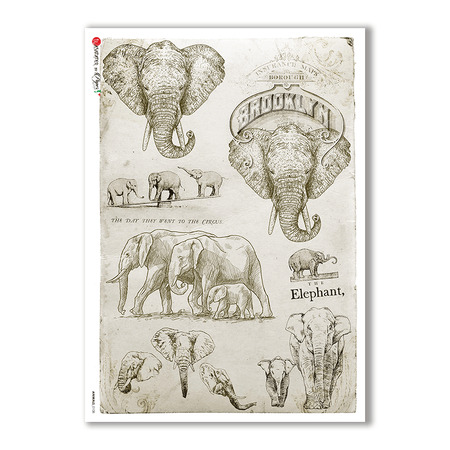 ANIMALS-0108. Animals Rice Paper for decoupage.
