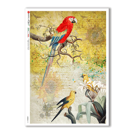 ANIMALS-0132. Animals Rice Paper for decoupage.