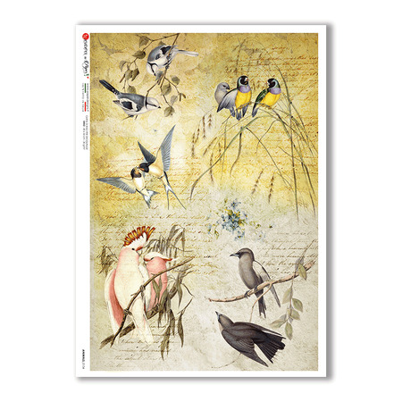 ANIMALS-0134. Animals Rice Paper for decoupage.