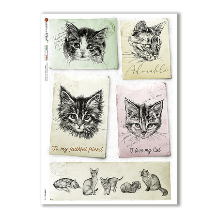 ANIMALS-0136. Animals Rice Paper for decoupage.