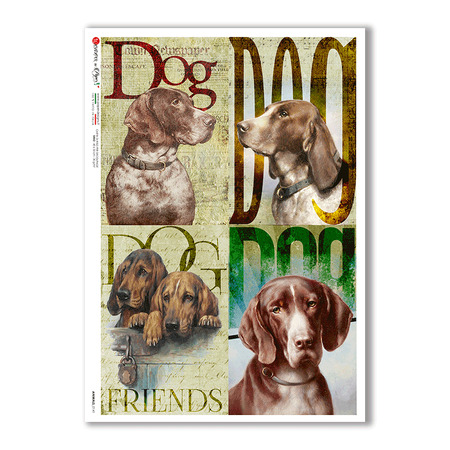 ANIMALS-0141. Animals Rice Paper for decoupage.