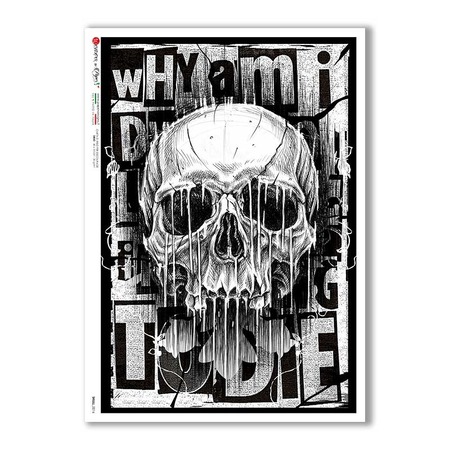 SKULL-0016. Skull Rice Paper for decoupage.