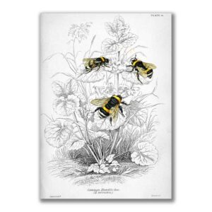 GF-ANIMALS-005. Rice paper large format