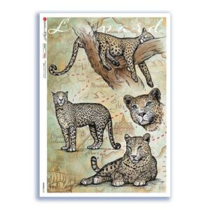ANIMALS-0167. Animals Rice Paper for decoupage.