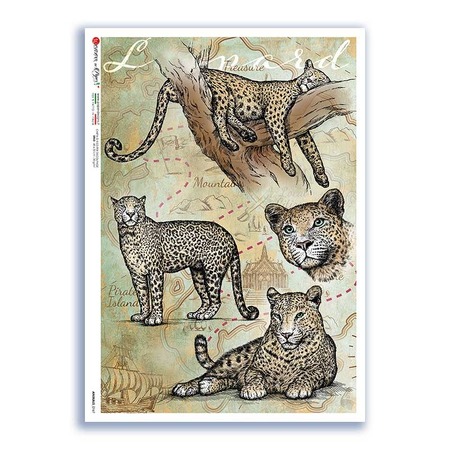 ANIMALS-0167. Animals Rice Paper for decoupage.