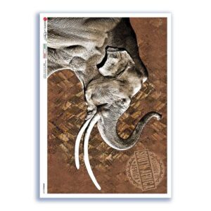 ANIMALS-0187. Animals Rice Paper for decoupage.