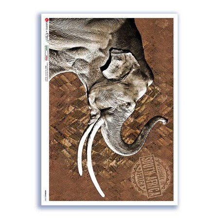 ANIMALS-0187. Animals Rice Paper for decoupage.