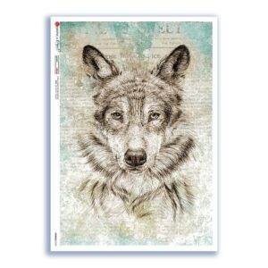 ANIMALS-0190. Animals Rice Paper for decoupage.