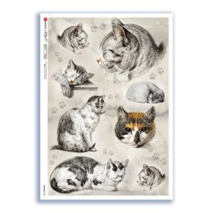 ANIMALS-0195. Animals Rice Paper for decoupage.