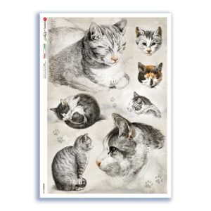 ANIMALS-0196. Animals Rice Paper for decoupage.