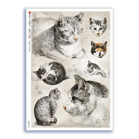 ANIMALS-0196. Animals Rice Paper for decoupage.