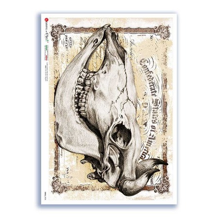 SKULL-0026. Skull Rice Paper for decoupage.