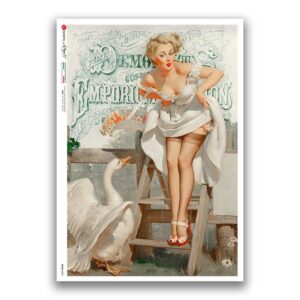 PINUP-0039. Pin-Up Rice Paper for decoupage.