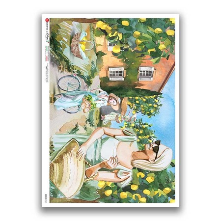 SCENE-0141. Pictorial Rice Paper for decoupage.
