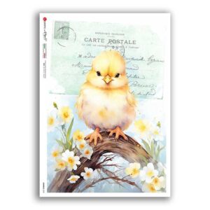 ANIMALS-0238. Animals Rice Paper for decoupage.