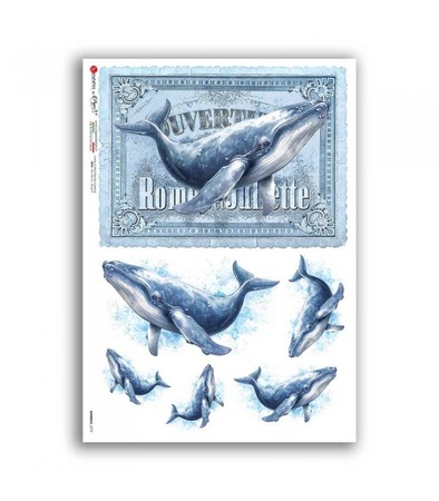 ANIMALS-0279. Rice paper for decoupage — Animals