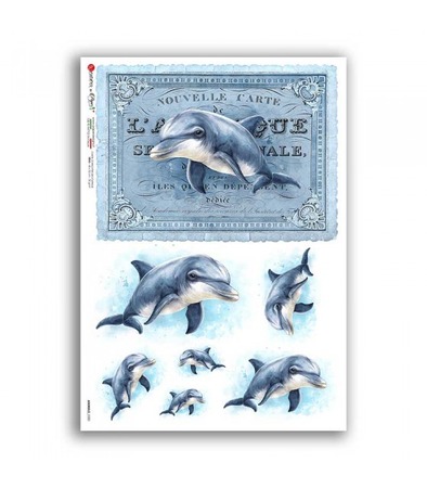 ANIMALS-0280. Rice paper for decoupage — Animals
